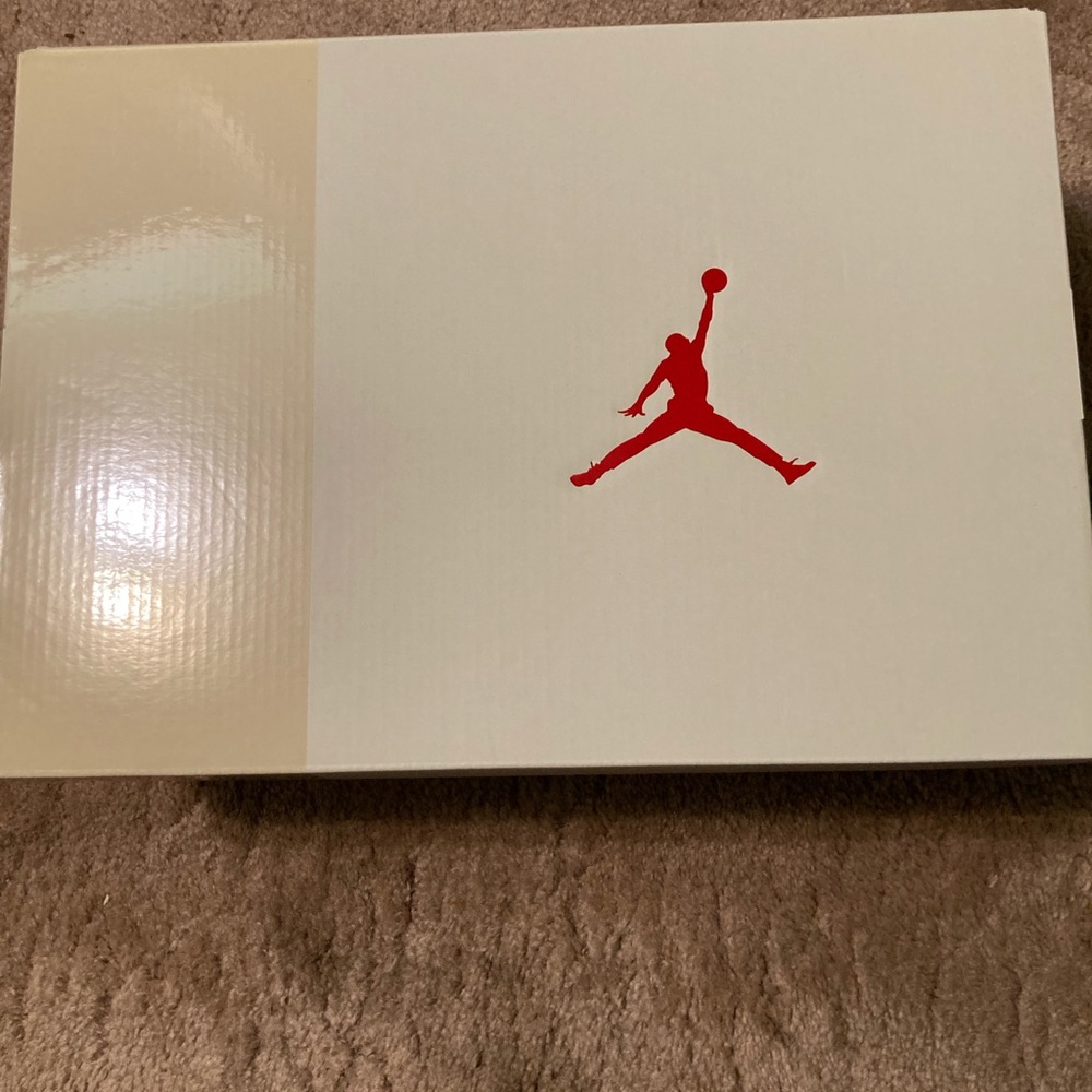 Jordan canvas 4